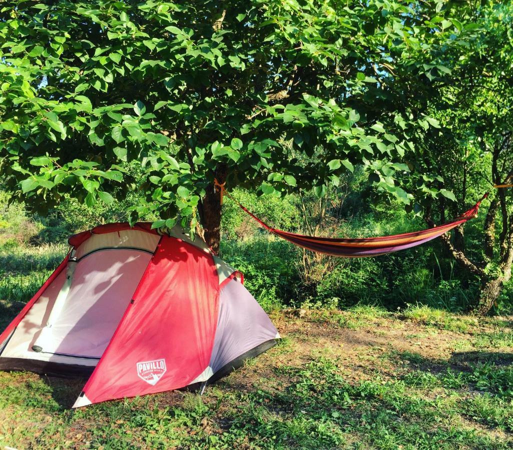 Camp Podkraj 호텔 비르파자르 외부 사진