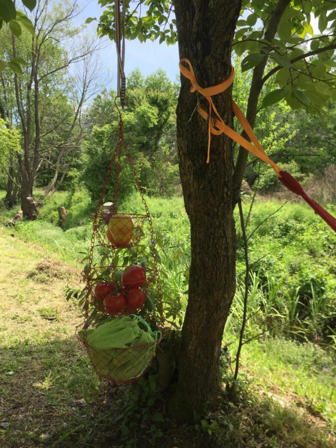 Camp Podkraj 호텔 비르파자르 외부 사진